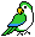 Parrot 2