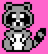 Racoon