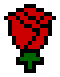 Rose 2